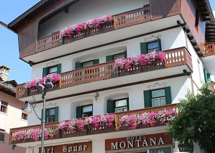 Hotel Montana Cortina d'Ampezzo foto